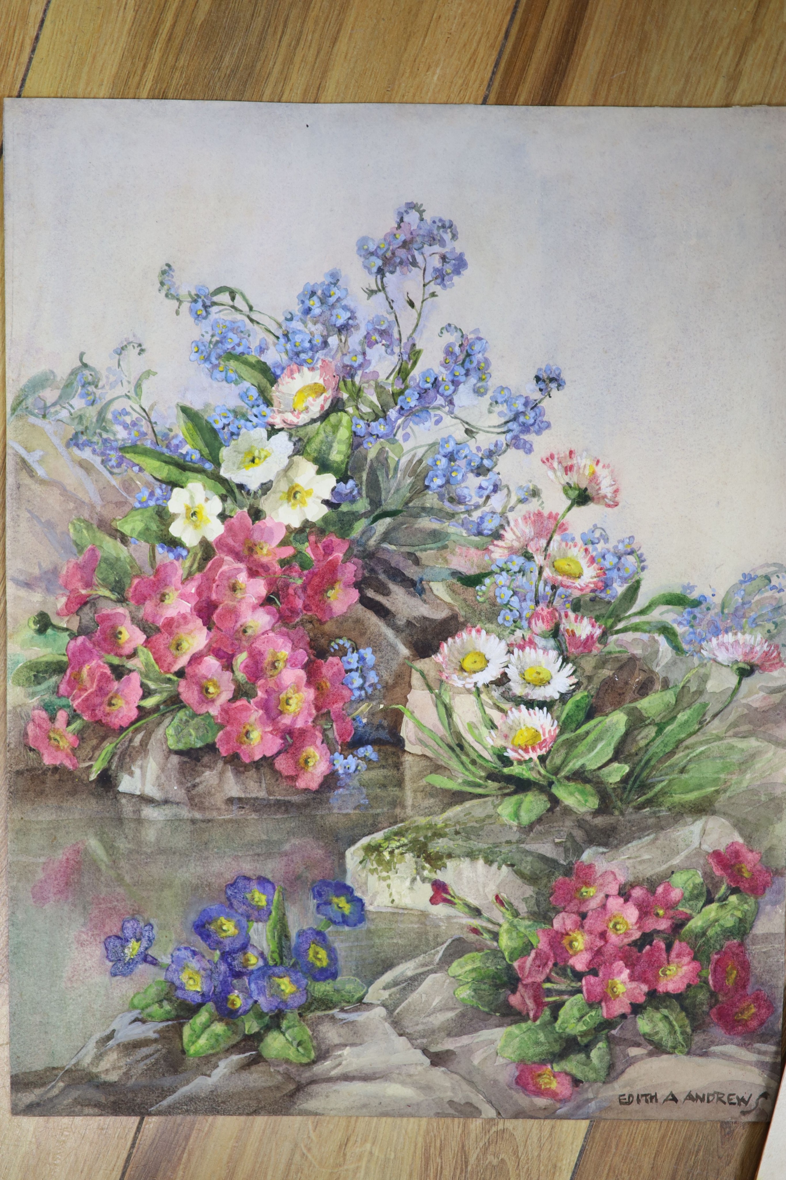 Edith Alice Andrews (1873-1962), watercolour, study of a rock garden with Spring flowers and three still life studies of flowers